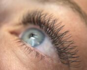 formation pose de cils